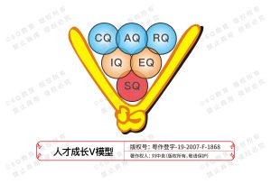 1.人才成长V模型