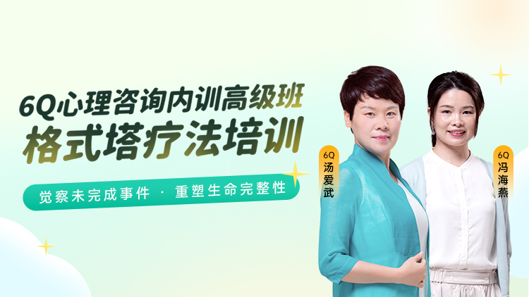 《6Q心理咨询内训高级班-格式塔（完形）疗法培训》